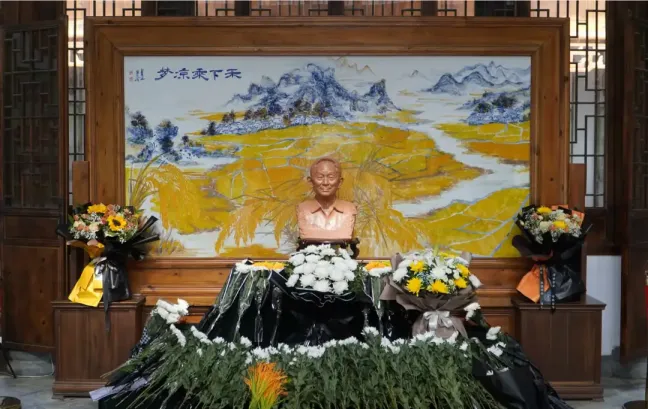 超级杂交稻丰收